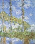 Les peupliers, sous le soleil - Claude Monet