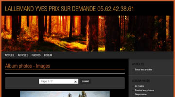 Artiste Peintre Lallemand Yves