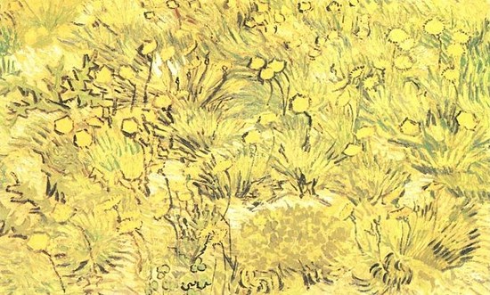 Champ de fleurs jaunes - Vincent Van Gogh