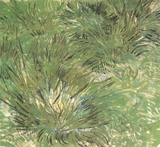 Touffes d'herbe - Vincent Van Gogh