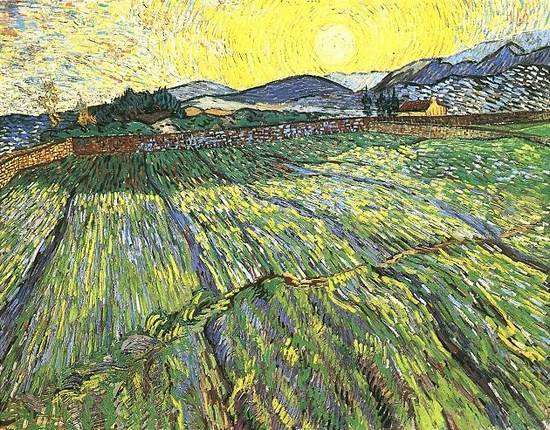 Champ à l'aube - Vincent Van Gogh