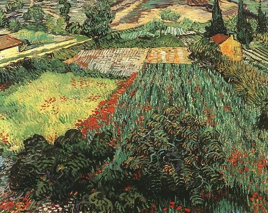 Champ aux coquelicots - Vincent Van Gogh