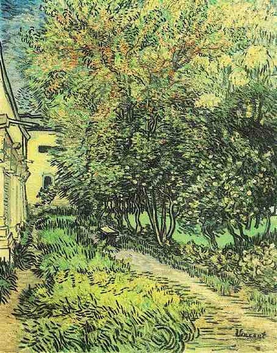 Jardin de l'hôpital Saint-Paul 2 - Vincent Van Gogh