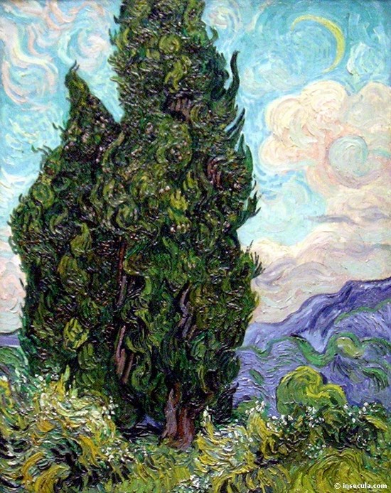 Les cyprès - Vincent Van Gogh