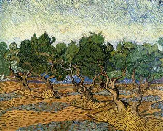Les oliviers 1 - Vincent Van Gogh