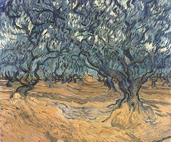 Les oliviers 2 - Vincent Van Gogh
