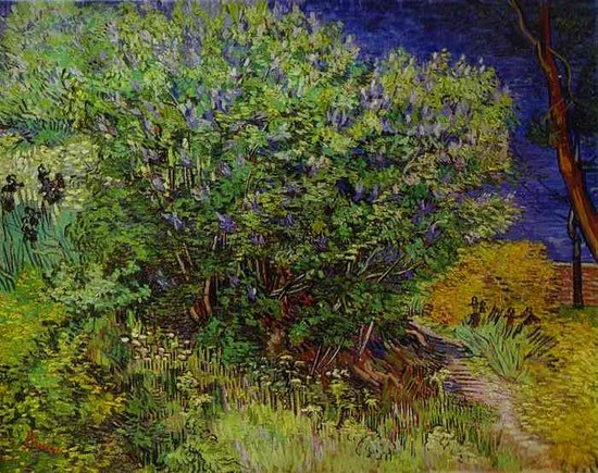 Lilas - Vincent Van Gogh