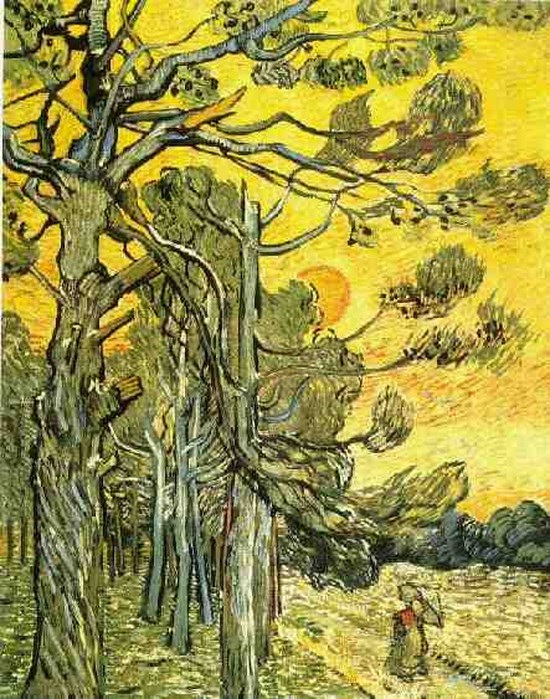 Pins et ciel rouge - Vincent Van Gogh