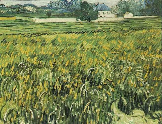 Champ de blé et maison blanche - Vincent Van Gogh