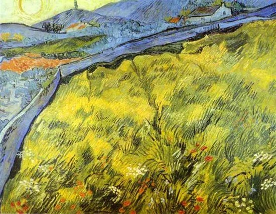 Champs - Vincent Van Gogh