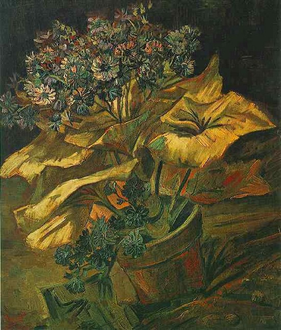 Cineraria dans un pot - Vincent Van Gogh