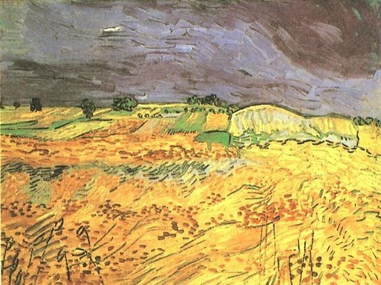 Les champs - Vincent Van Gogh