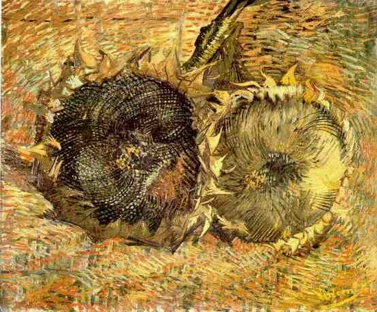 Deux tournesols coupés - Vincent Van Gogh
