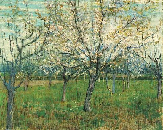 Abricotiers en fleurs - Vincent Van Gogh