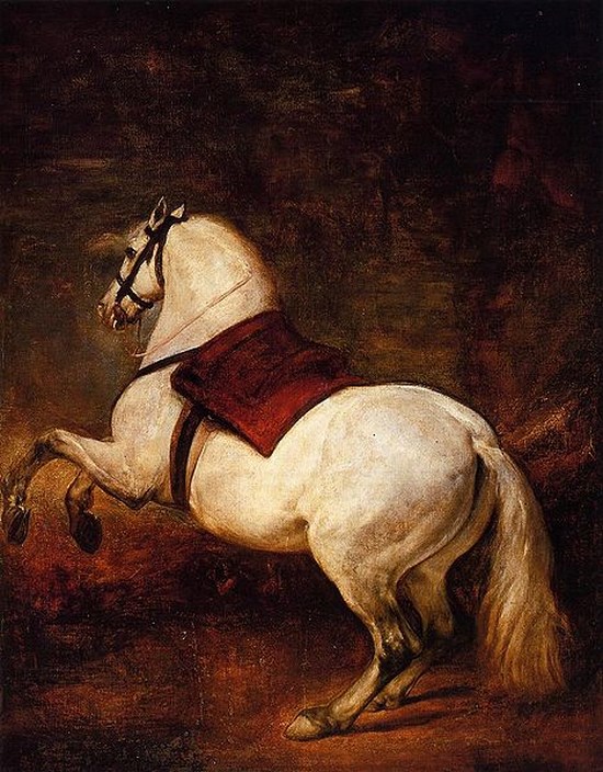 Cheval blanc - Diego Vélasquez